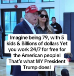 1755602509486.png