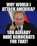 1755603115987.png