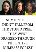 1755783378121.png