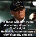 1756218724332.png
