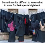 1756219171884.png