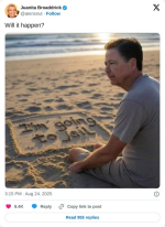 1756219588011.png