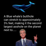 1756506815016.png