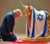 Trump bull.JPG