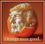 1757073849976.png
