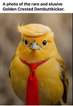 1757074007745.png