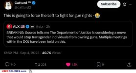 gun-rights.jpg