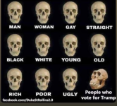 1757116329733.png