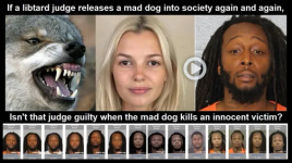 1757364994364.png