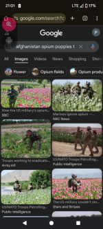 736aa80c-457d-4205-b57c-c3bca81bb6fa.png 736aa80c-457d-4205-b57c-c3bca81bb6fa.png