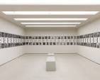 Implicit Tensions: Mapplethorpe Now | The Guggenheim Museums ...
