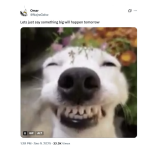 1757544381501.png