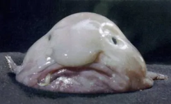1757611048727.png