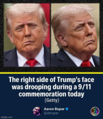 1757641392046.png