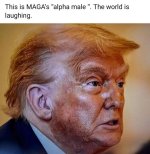 IMG_3458.jpeg