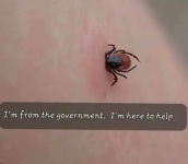1758467974668.png