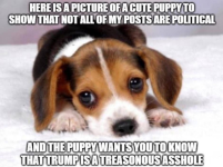 1758886124759.png