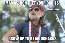 williemudshark.jpeg