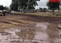 mudshark.gif