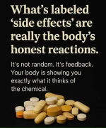 1759324635924.png 1759324635924.png