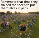 1759413118703.png