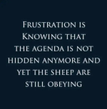 1760013939870.png