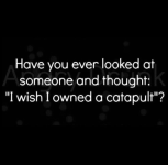 1760022318998.png