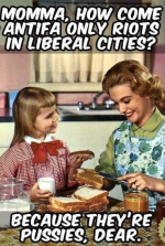 1760194102254.png