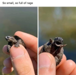 1760274785298.png