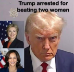 1761485296206.png