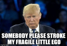 1761516889242.png