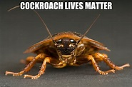 1761593680768.png