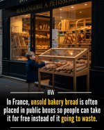 FB_IMG_1761666925700.jpg FB_IMG_1761666925700.jpg