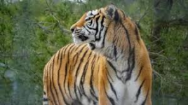 1761762908694.png 1761762908694.png