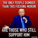 1761835870496.png 1761835870496.png