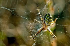 1762539833819.png 1762539833819.png