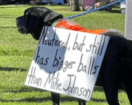 1762646758861.png 1762646758861.png