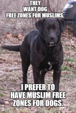 1762690349017.png 1762690349017.png