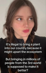 1762690414946.png 1762690414946.png