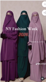 1763048734084.png 1763048734084.png