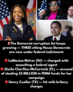 1763648460945.png 1763648460945.png