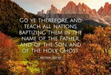 OIP (2) (2024-10-15T20_23_59.000).jpeg