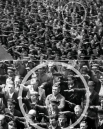 1763759332922.png 1763759332922.png