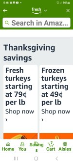 Screenshot_20251125_171847_Amazon Shopping.jpg Screenshot_20251125_171847_Amazon Shopping.jpg