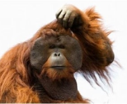 1764267798583.png 1764267798583.png