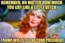 1765049078832.png 1765049078832.png