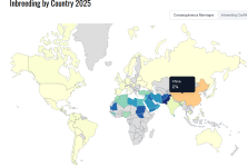 1765228891042.png 1765228891042.png