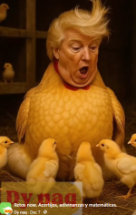 1765509357471.png 1765509357471.png