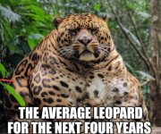 leopards2.jpeg leopards2.jpeg
