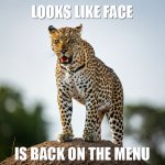 leopards3.jpg leopards3.jpg